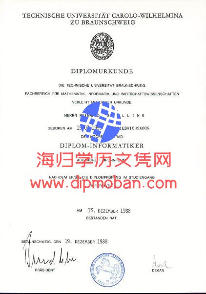 不伦瑞克大学