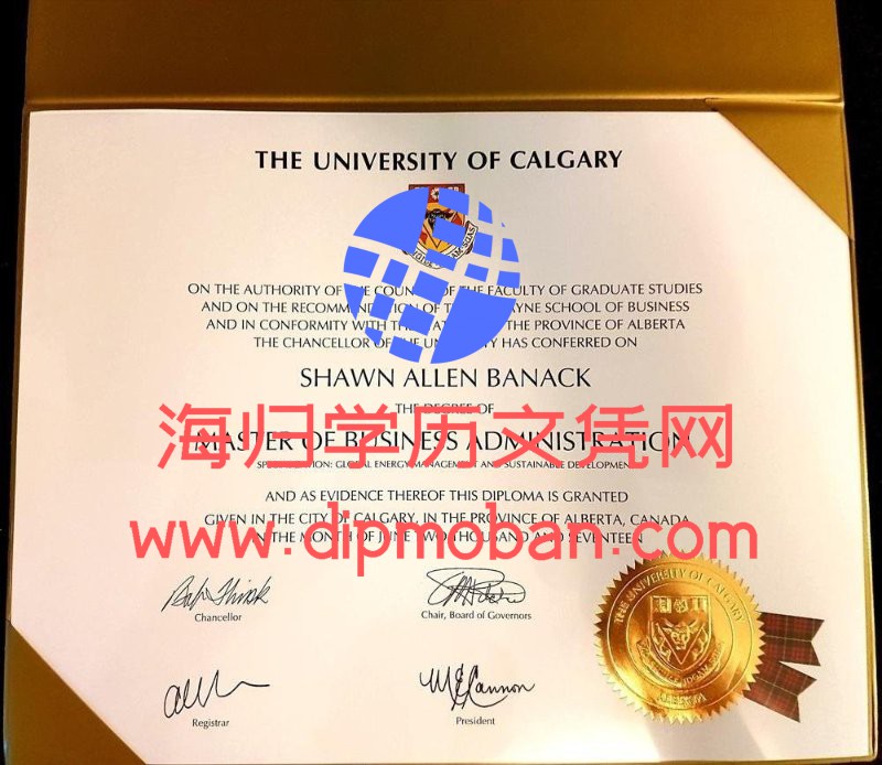 加拿大卡尔加里大学
