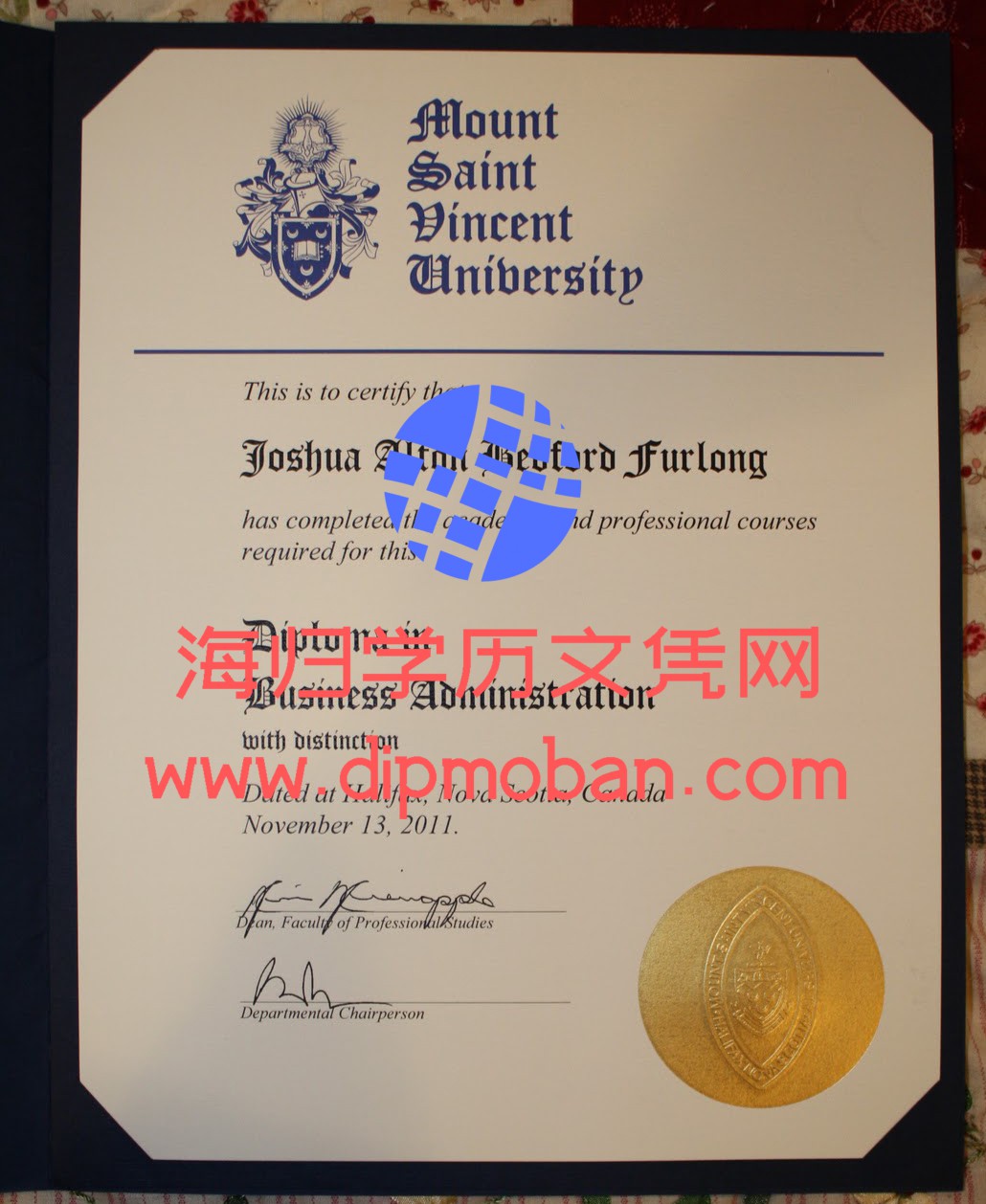 加拿大圣文森特大学