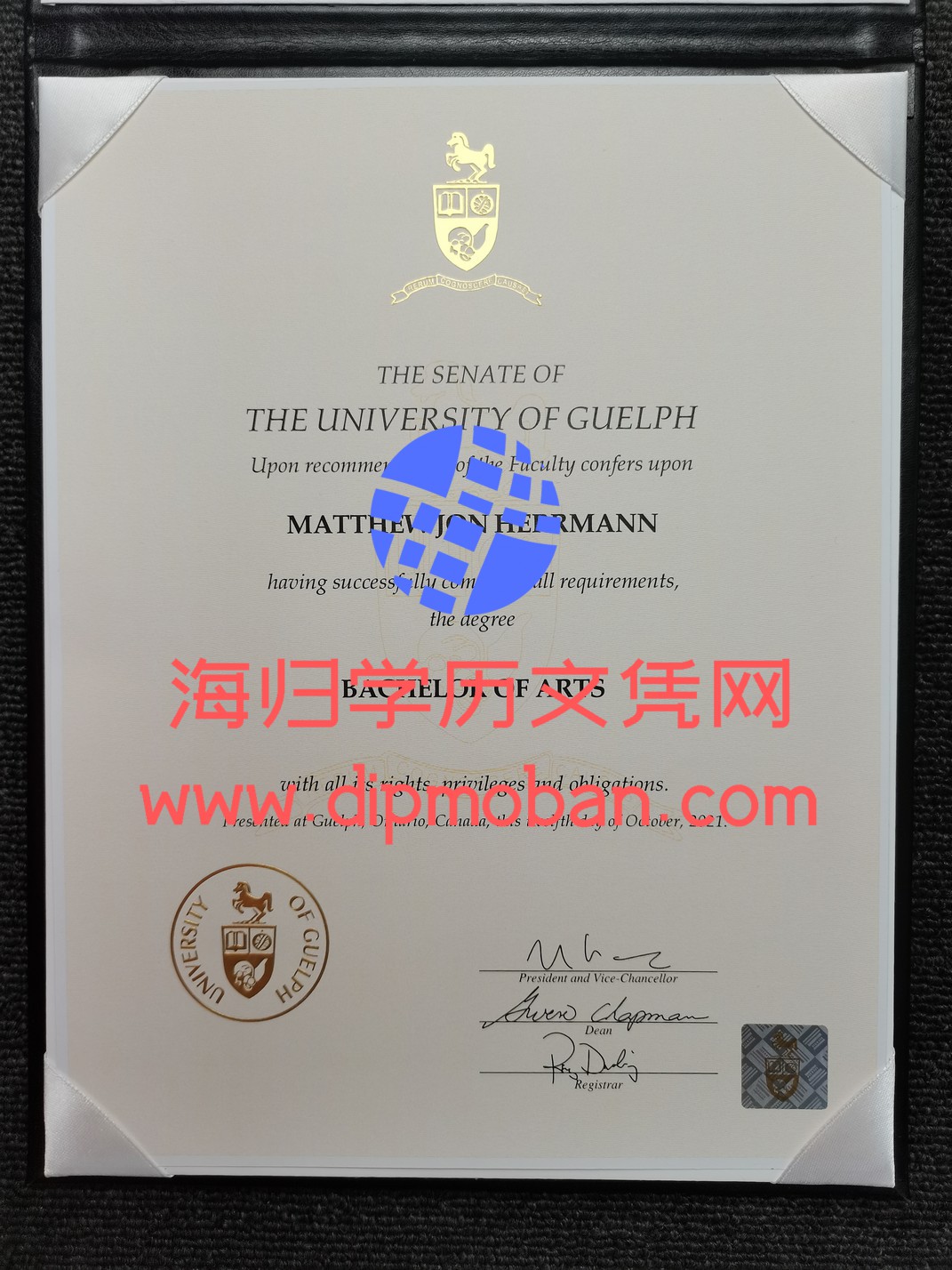 加拿大圭尔夫大学