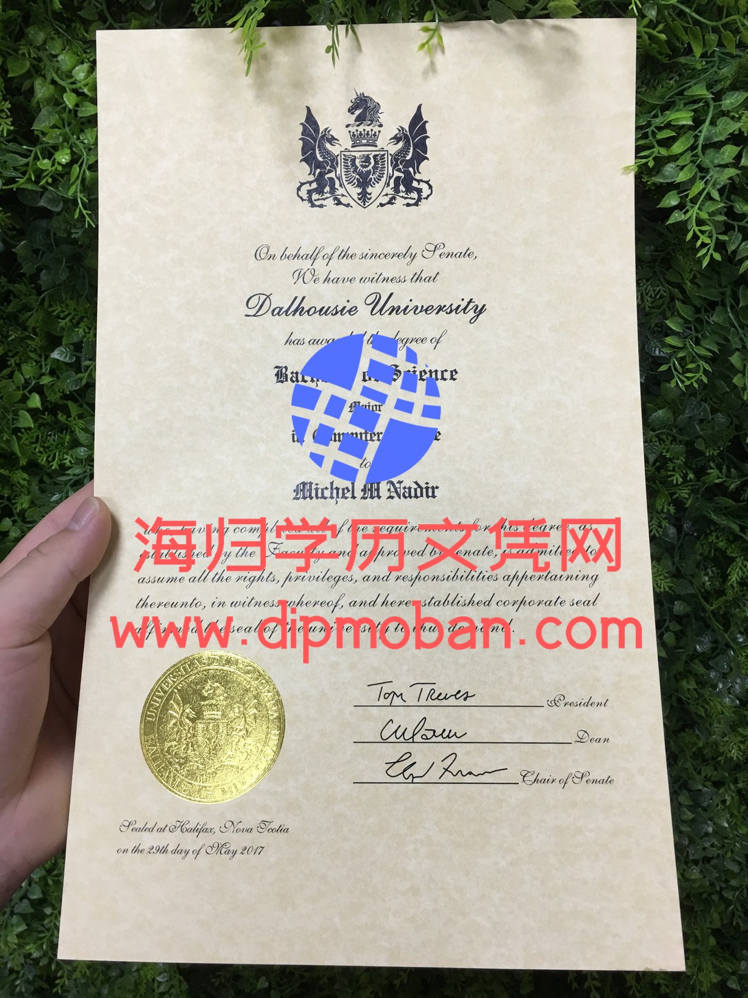 加拿大戴尔壕斯大学