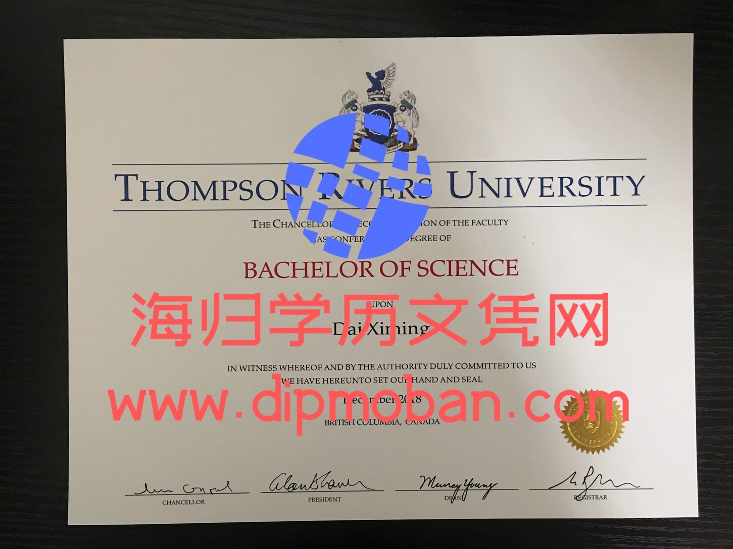 加拿大汤姆森河大学