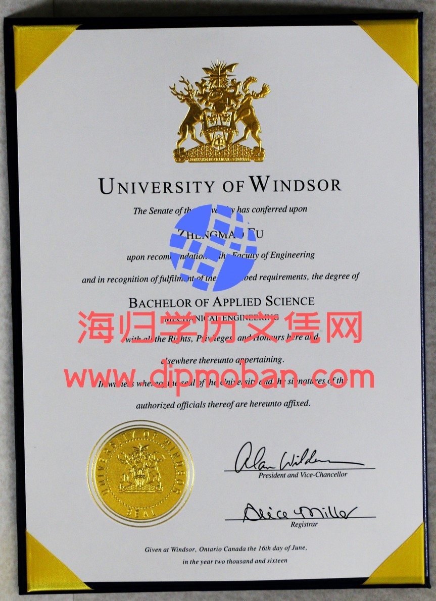 加拿大温莎大学