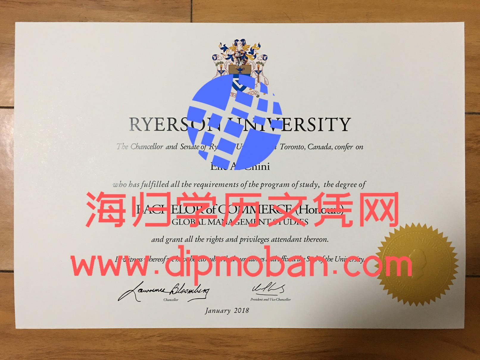 加拿大瑞尔森大学