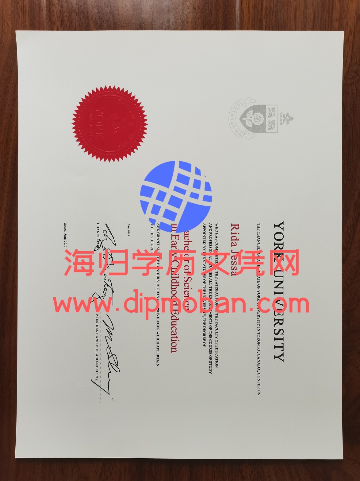 加拿大约克大学