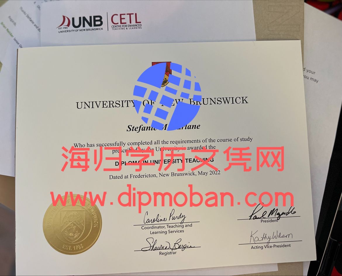 加拿大纽布伦斯威克大学