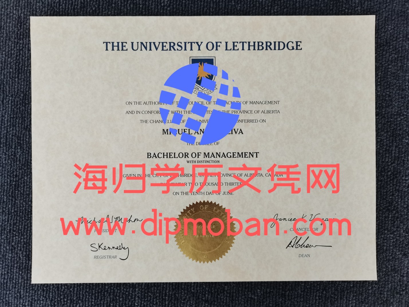 加拿大莱斯布里奇大学 加拿大莱斯布里奇大学