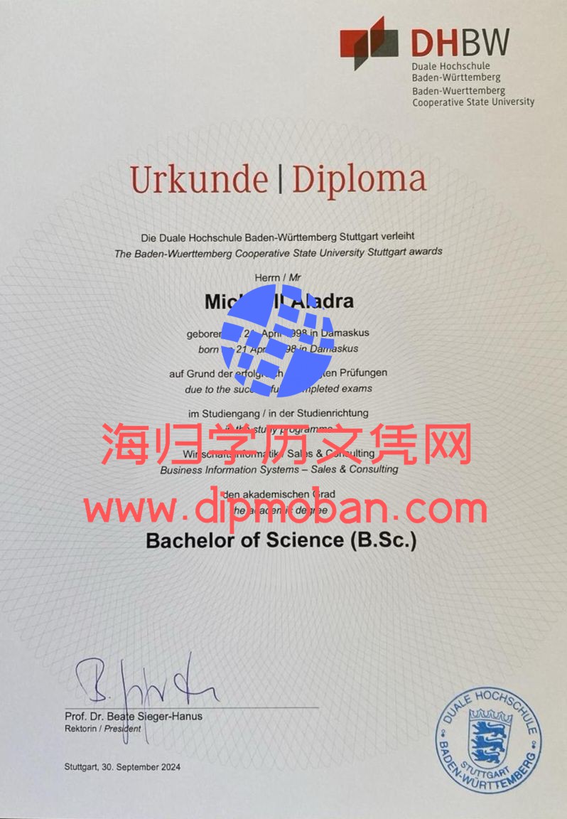 国巴登符腾堡双元制应用技术大学