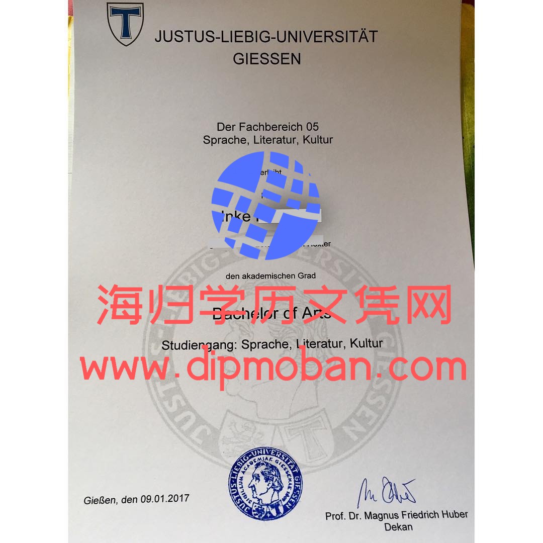 德国吉森大学