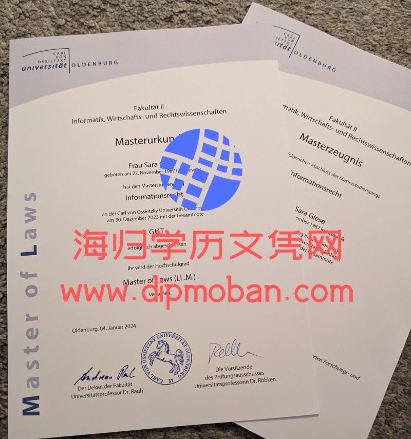 德国奥尔登堡大学