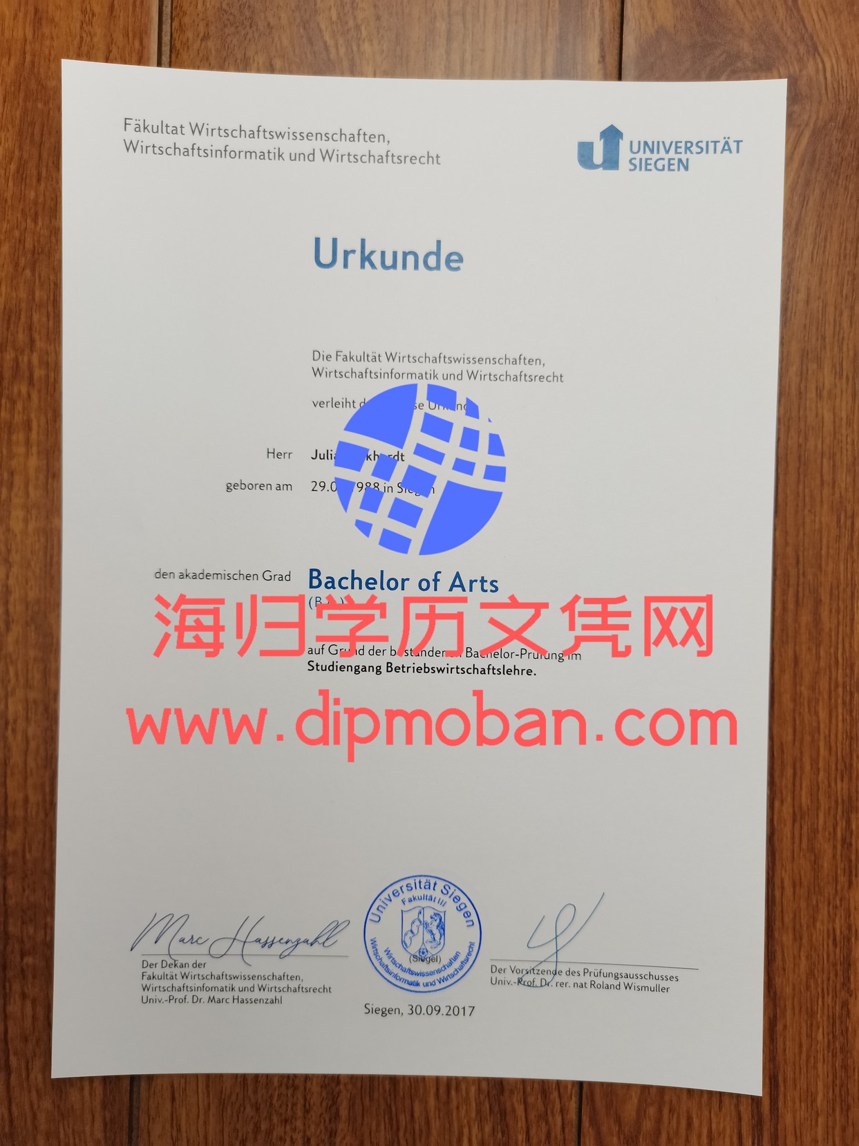 德国锡根大学
