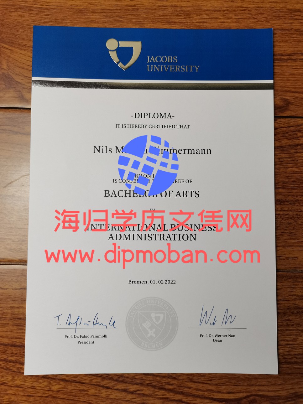 德国雅各布大学