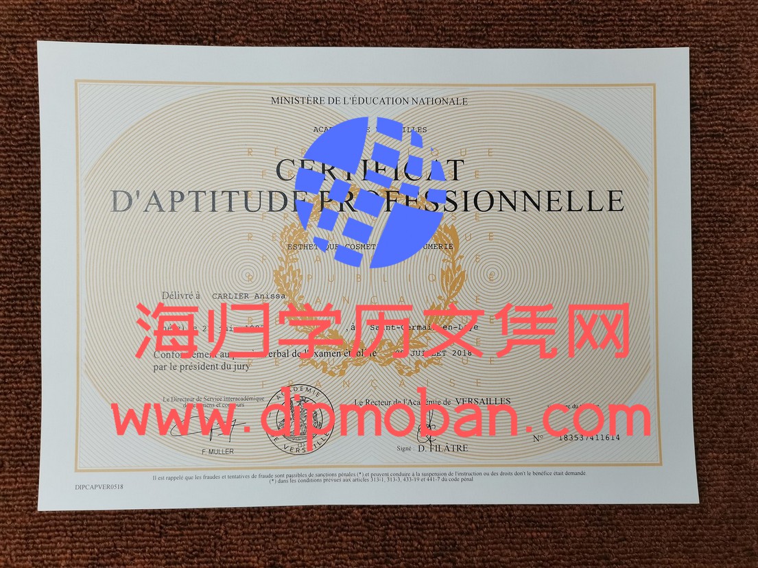 法国凡尔赛学院
