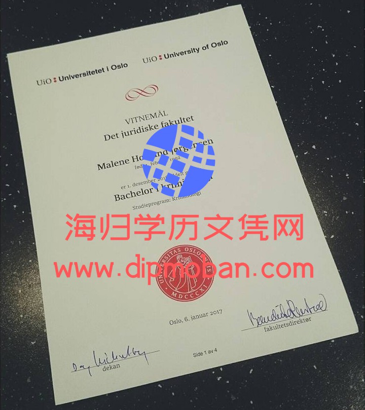 瑞典奥斯陆大学