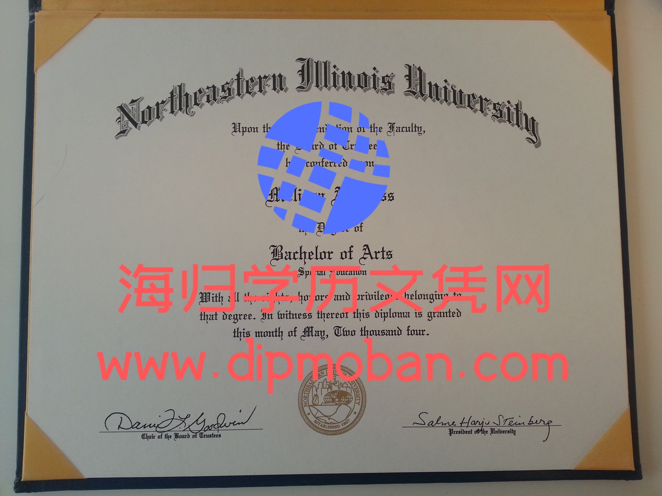美国东北伊利诺伊大学