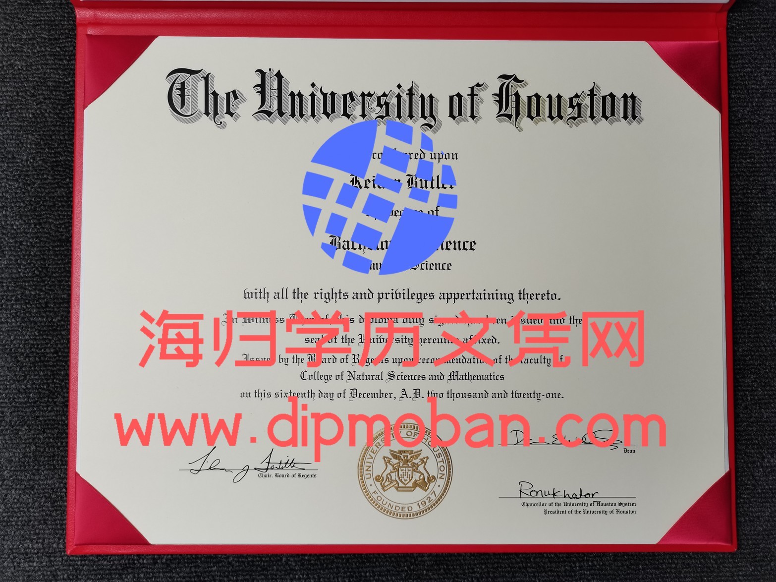 美国休斯顿大学