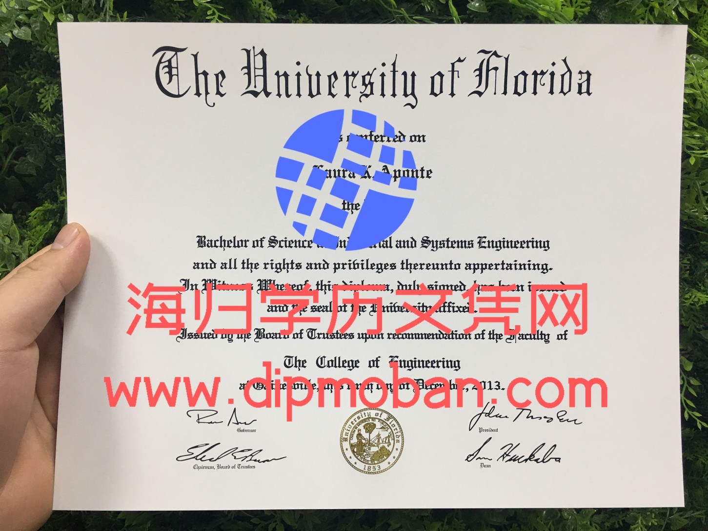 美国佛罗里达大学