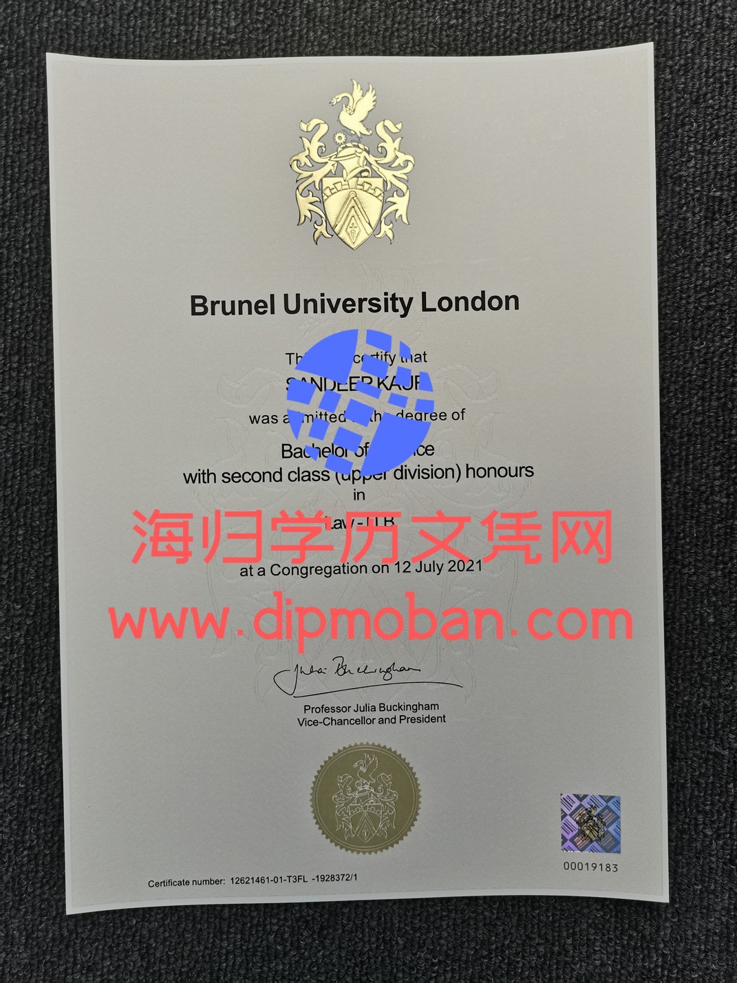 英国伦敦布鲁内尔大学