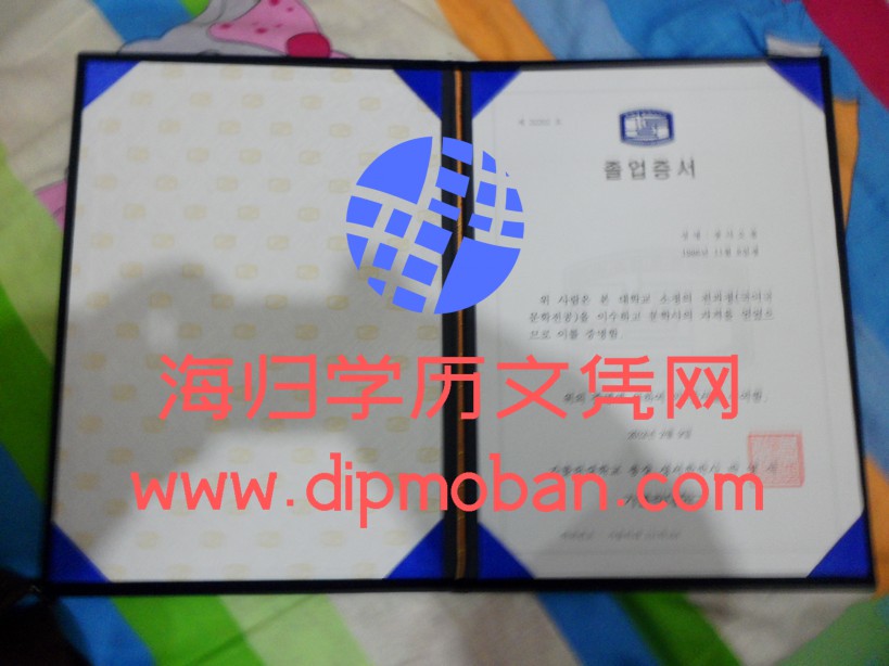 韩国加图立大学